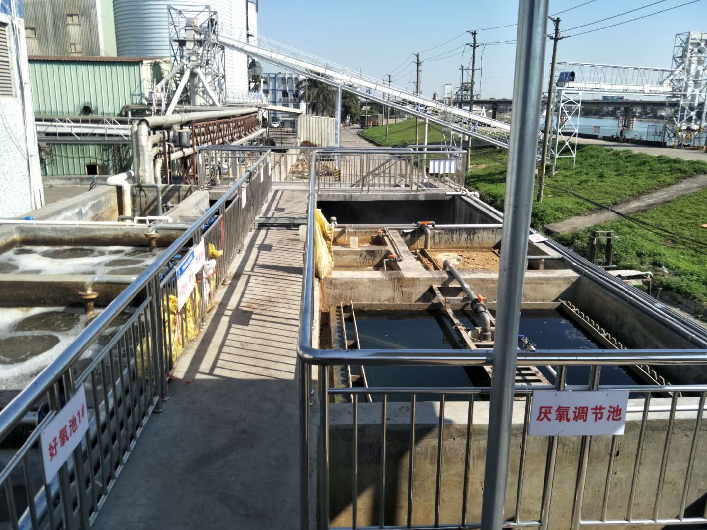 食品廢水植物處理技術(shù)，你知道嗎？